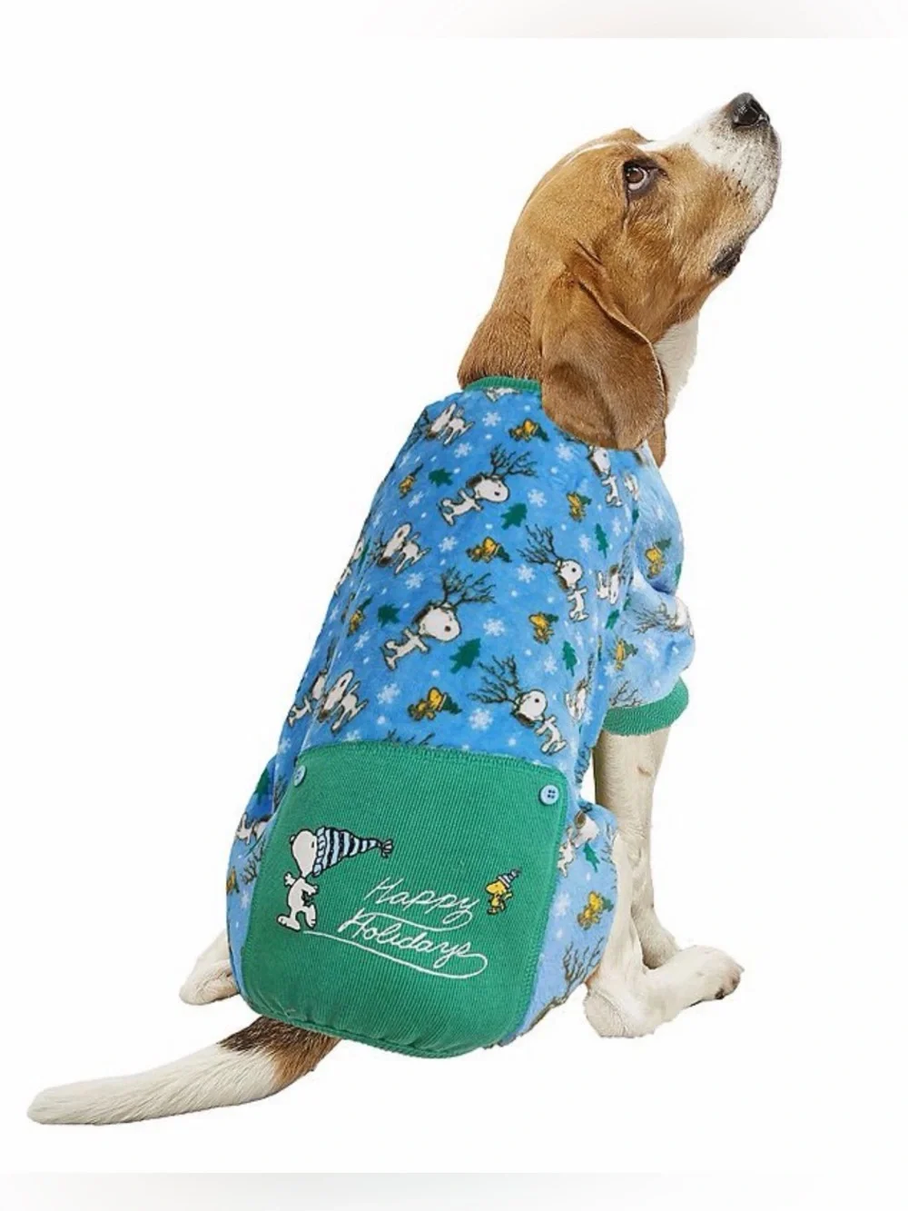 Peanuts Snoopy & Woodstock Fleece Pet Pajamas - Light Blue & Teal Trim